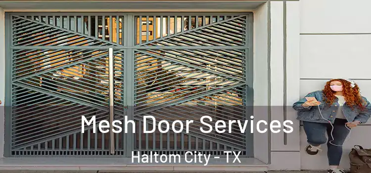 Mesh Door Services Haltom City - TX